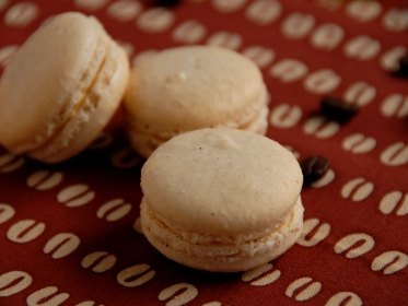 バニラプードル使用例6